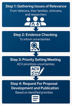 Diagram showing the CPCoE priority steps.