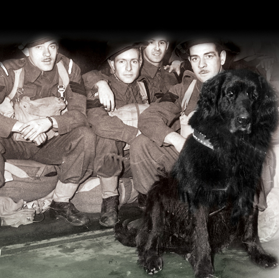 Le chien Gander en compagnie des Royal Rifles of Canada à leur départ pour Hong Kong.