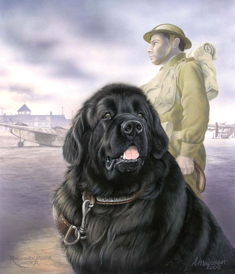 Artiste : Anne Mainman Avec la permission de : « Newfound Friends - Newfoundland Dogs Working For Childrens Charities