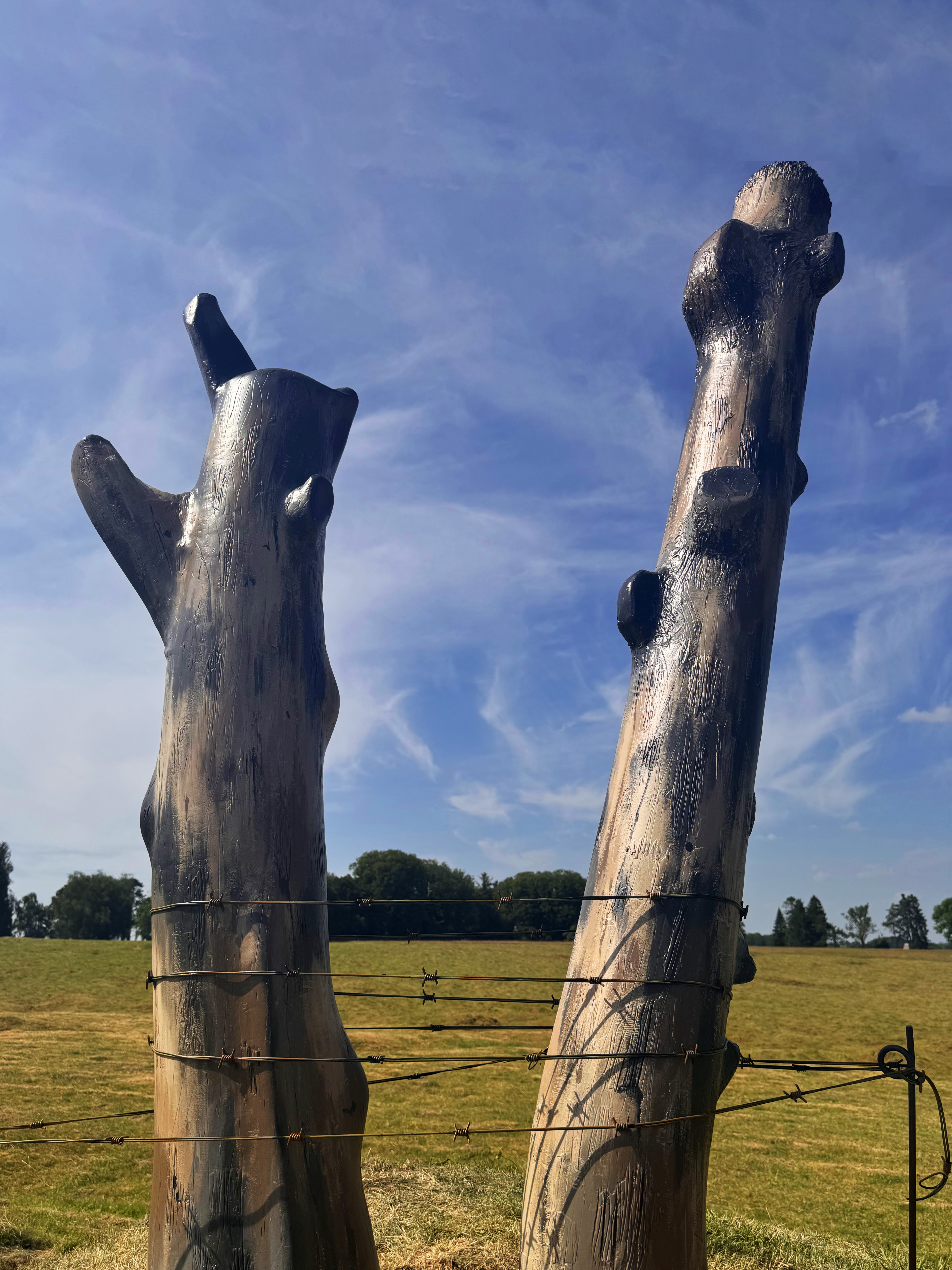 Two wooden posts that resemble old trees stand behind a barbed-wire fence in an open field.