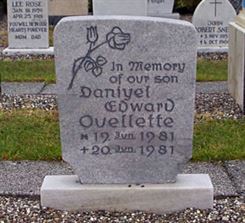 Photo by Trevor Heavens