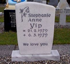 Photo by Trevor Heavens