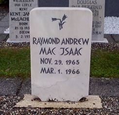 Photo by Trevor Heavens