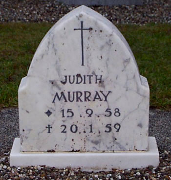 Photo by Trevor Heavens