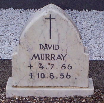 Photo by Trevor Heavens