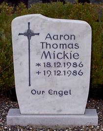 Photo by Trevor Heavens