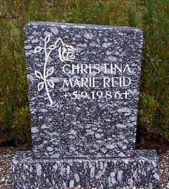 Photo by Trevor Heavens