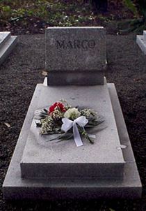 Photo by Trevor Heavens