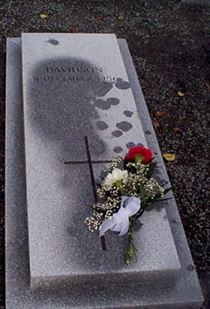 Photo by Trevor Heavens