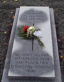 Photo by Trevor Heavens