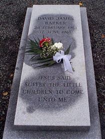 Photo by Trevor Heavens