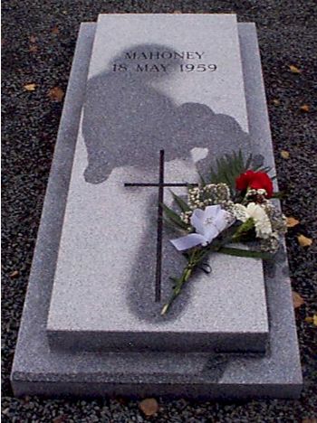 Photo by Trevor Heavens