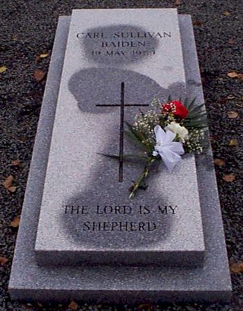 Photo by Trevor Heavens