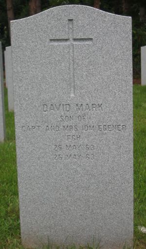 Headstone of David Mark Egener.