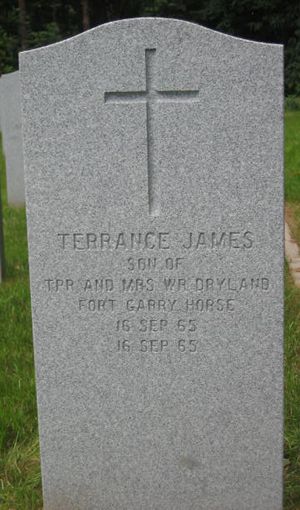 Headstone of Terrance James Dryland.