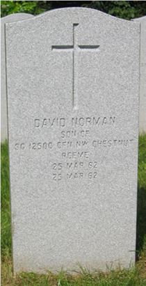 Headstone of David Norman Chestnut.