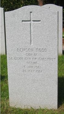 Headstone of Benson Todd Chestnut.