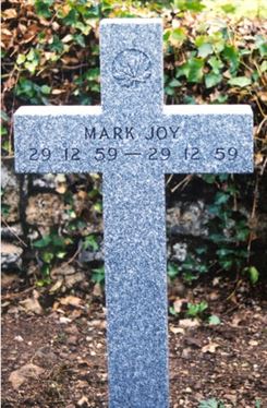 Headstone of Mark Langford Joy.