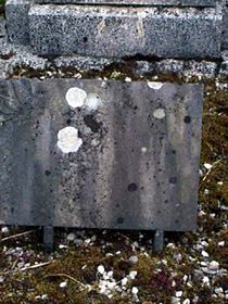 Original headstone prior to replacement in 2003