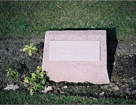 Photo by Trevor Heavens