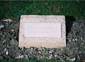 Photo by Trevor Heavens