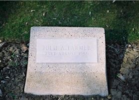 Photo by Trevor Heavens