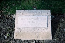 Photo by Trevor Heavens