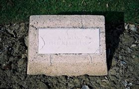 Photo by Trevor Heavens