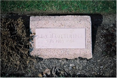 Photo by Trevor Heavens