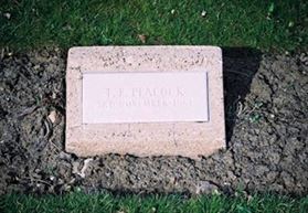 Photo by Trevor Heavens