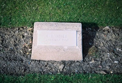 Photo by Trevor Heavens