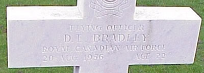 Photo by Malcolm Cromarty