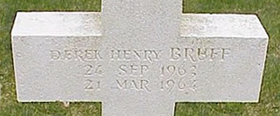 Photo by Malcolm Cromarty