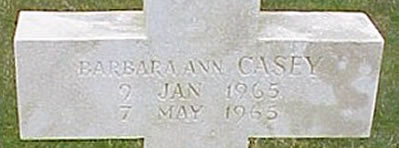 Photo by Malcolm Cromarty