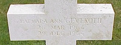 Photo by Malcolm Cromarty