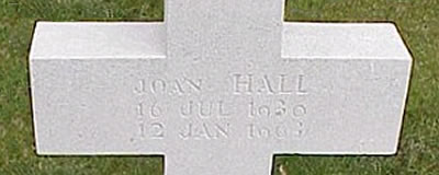 Photo by Malcolm Cromarty