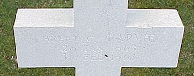 Photo by Malcolm Cromarty