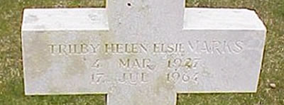 Photo by Malcolm Cromarty