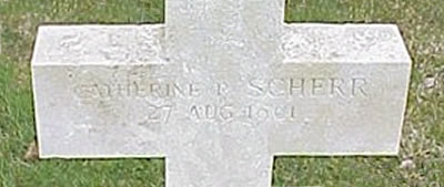 Photo by Malcolm Cromarty