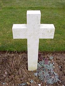 Photo by Malcolm Cromarty