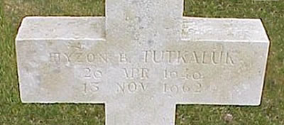 Photo by Malcolm Cromarty