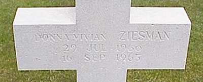 Photo by Malcolm Cromarty