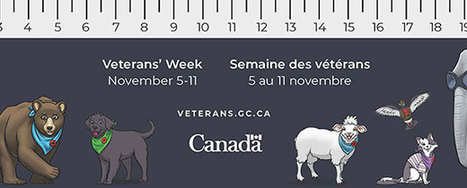 The 7 animal characters of the Remembrance Club shown on a navy background, with a 21 centimeters ruler on top.