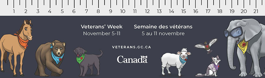 The 7 animal characters of the Remembrance Club shown on a navy background, with a 21 centimeters ruler on top.