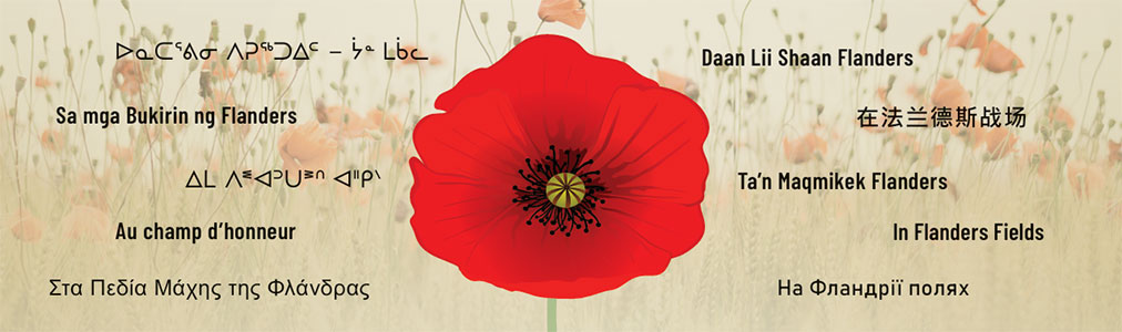 A red poppy is in the centre of the bookmark on a beige background. The words In Flanders Fields appear in 10 different languages.