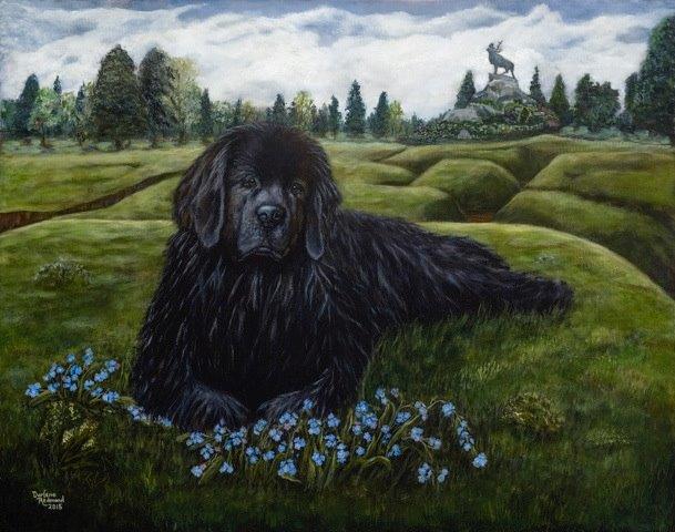 Sable Chief entourée de fleurs de myosotis avec en arrière-plan le parc de Beaumont-Hamel