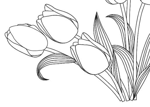 Tulip Colouring Sheet