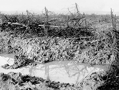 Barbed wire and mud