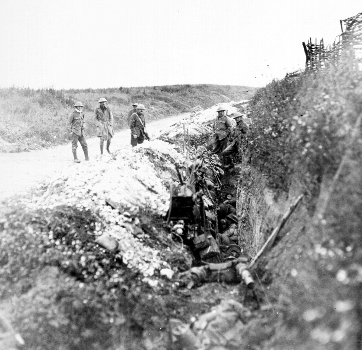 Newfoundland soldiers in trench