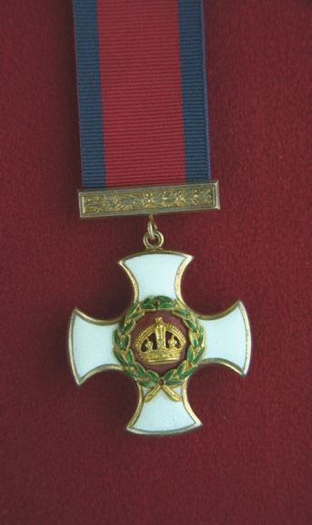 Distinguished Service Order (DSO)